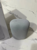 Google nest audio  cassa. Bluetooth  grigio chiaro bigeshop