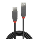 Cavo USB LINDY 36701 Nero 50 cm (1 Unità)-1
