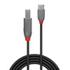 Cavo USB C con USB B LINDY 36942 Nero 2 m-1