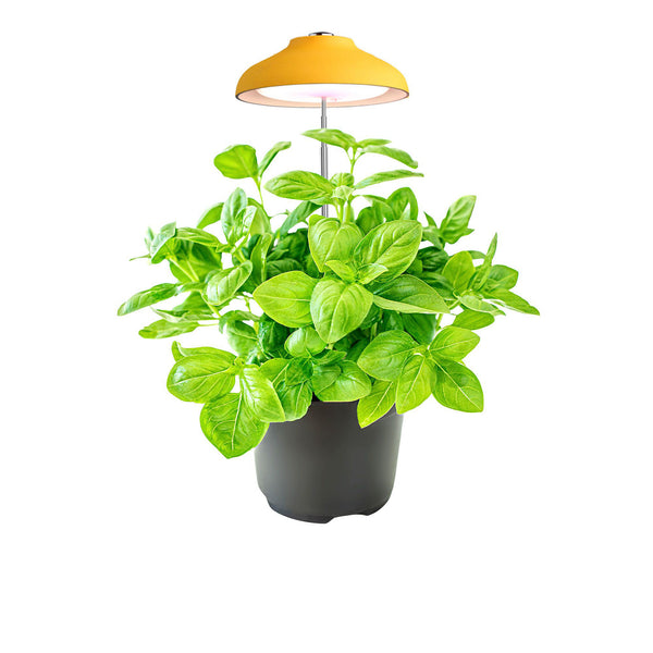 Ninfa Lampada per piante Egle con bastone telescopico BigBen