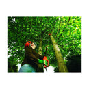 Sega Black & Decker Manico a palo allungabile 800 W (25 cm)-5