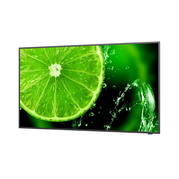 Monitor NEC 60005052 49" IPS LED-0