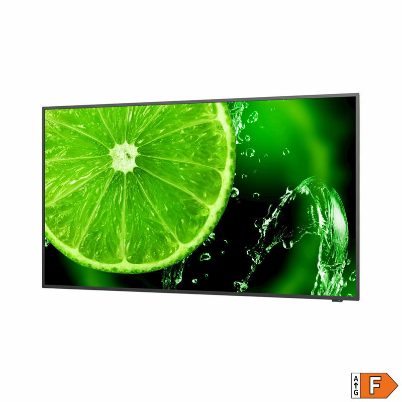 Monitor Videowall NEC 60005059 UHD 4K Ultra HD 65" 60 Hz 65"-3