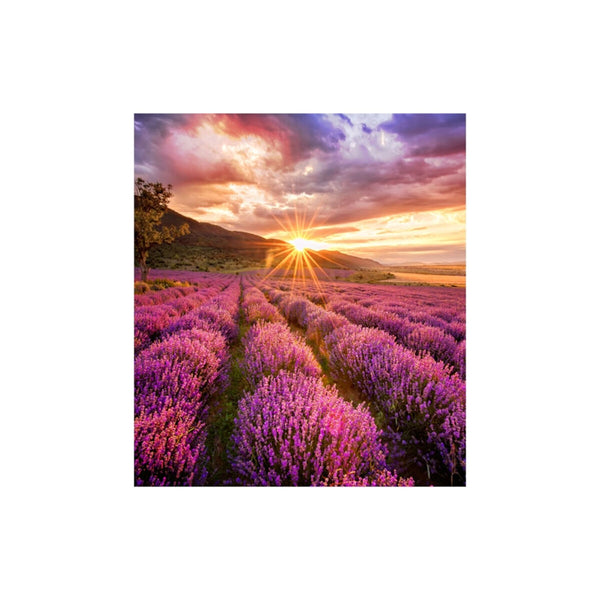 Monitor Videowall Samsung LH025IFHBAS/EN 50-60 Hz-0