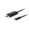 Adattatore USB C con DisplayPort Lanberg CA-CMDP-10CU-0010-BK Nero 1 m-0