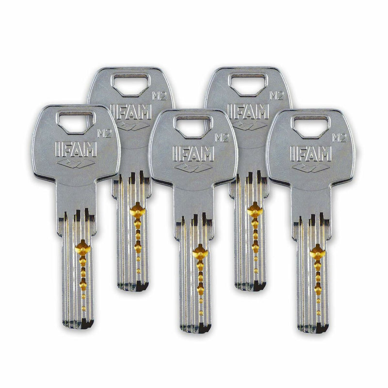 Chiavistello di sicurezza IFAM CS88L M50 Ottone-1