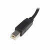 Cavo USB A con USB B Startech USB2HAB3M            Nero-0