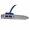 Cavo USB Startech USB3SPLATE           IDC Azzurro-0