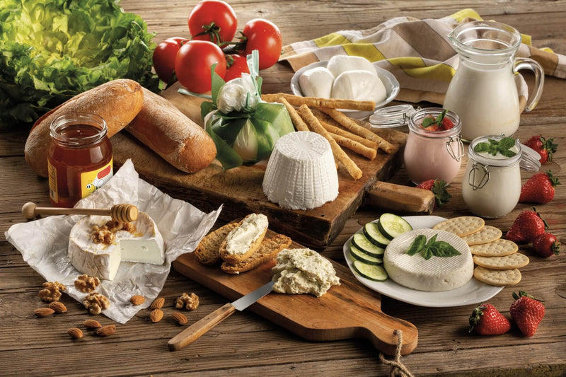 B-cheese - Macchina per formaggio e yogurt bigeshop