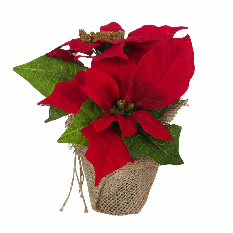Fiori Decorativi Natale (Ricondizionati B) - bigeshop