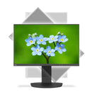 Monitor NEC EA231WU IPS WUXGA 1920 x 1200 px 22,5" - bigeshop